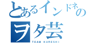 とあるインドネシア のヲタ芸（ＴＥＡＭ ＫＵＲＥＳＨＩ）