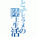 とあるヒラメの陸上生活（げん）