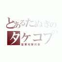 とあるたぬきのタケコプター（空軍攻撃対象）