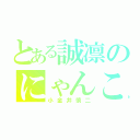 とある誠凛のにゃんこ小僧（小金井慎二）