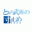 とある武術の寸止め（木原神拳）