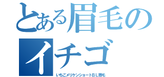 とある眉毛のイチゴ（いちごメリケンショートＢＬ眉毛）