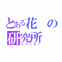 とある花の研究所（ラベンダー）