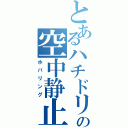 とあるハチドリの空中静止（ホバリング）