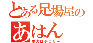 とある足場屋のあはん（愛犬はチェリー）