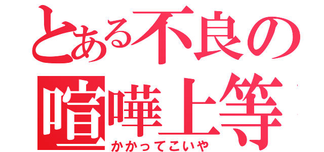 とある不良の喧嘩上等（かかってこいや）