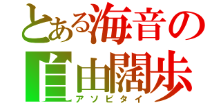 とある海音の自由闊歩（アソビタイ）