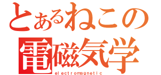 とあるねこの電磁気学（ｅｌｅｃｔｒｏｍａｇｎｅｔｉｃ）