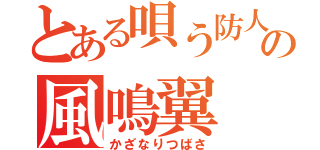 とある唄う防人の風鳴翼（かざなりつばさ）