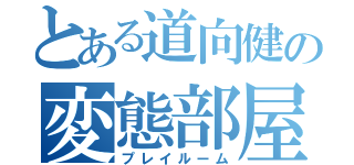 とある道向健の変態部屋（プレイルーム）