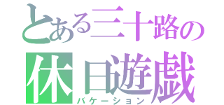 とある三十路の休日遊戯（バケーション）