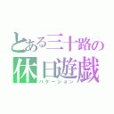 とある三十路の休日遊戯（バケーション）