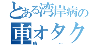 とある湾岸病の車オタク（暁…）