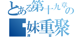 とある第十九章の姊妹重聚（序章）