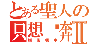 とある聖人の只想淚奔Ⅱ（腦袋很小）