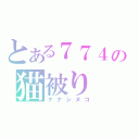 とある７７４の猫被り（ナナシヌコ）