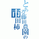 とある藤田農園の市田柿（）