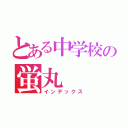 とある中学校の蛍丸（インデックス）