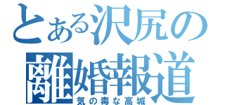 とある沢尻の離婚報道（気の毒な高城）