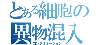 とある細胞の異物混入（コンタミネーション）