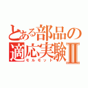 とある部品の適応実験Ⅱ（モルモット）