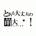 とある大丈夫の萌大奶！（インデックス）