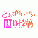 とある飼い主達の画像投稿（ペットカメラ）