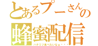 とあるプーさんの蜂蜜配信（ハチミツ食べたいなぁ🎵）