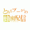 とあるプーさんの蜂蜜配信（ハチミツ食べたいなぁ🎵）