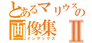 とあるマリウスの画像集Ⅱ（インデックス）