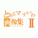 とあるマリウスの画像集Ⅱ（インデックス）