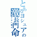 とあるヨシュアの激長門命（ナガト萌え）