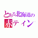 とある北海道の赤ティンファン（）