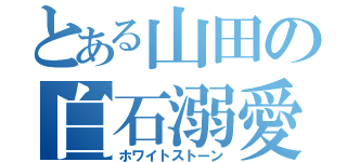 とある山田の白石溺愛（ホワイトストーン）