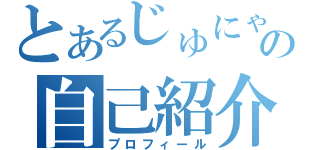 とあるじゅにゃっちの自己紹介（プロフィール）