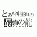 とある神室町の最強の龍（右京龍也）