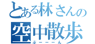 とある林さんの空中散歩（ぶーーーん）