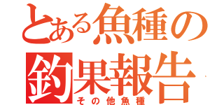 とある魚種の釣果報告（その他魚種）