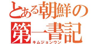 とある朝鮮の第一書記（キムジョンウン）