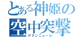 とある神姫の空中突撃（グランニューレ）