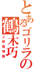 とあるゴリラの鶴木巧（上野動物園）