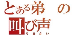 とある弟の叫び声（うるさい）