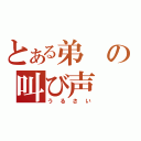 とある弟の叫び声（うるさい）