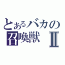 とあるバカの召喚獣Ⅱ（）