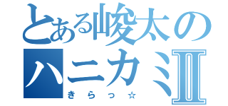 とある峻太のハニカミ王子Ⅱ（きらっ☆）