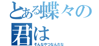 とある蝶々の君は（そんなやつなんだな）