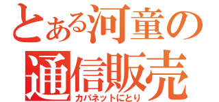 とある河童の通信販売（カパネットにとり）