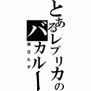 とあるレプリカのバカルーク（役立たず）