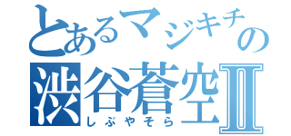 とあるマジキチの渋谷蒼空Ⅱ（しぶやそら）