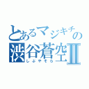 とあるマジキチの渋谷蒼空Ⅱ（しぶやそら）